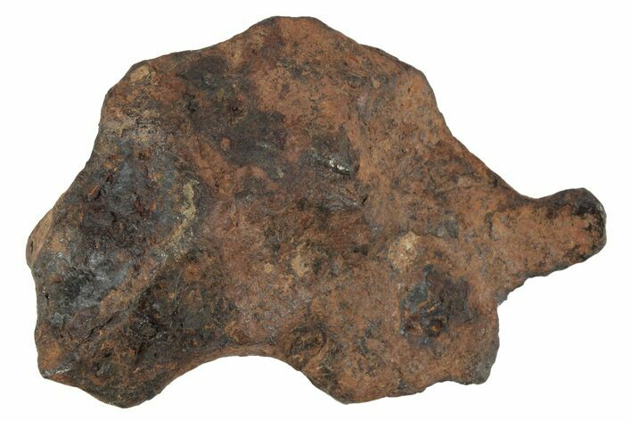 Agoudal Iron Meteorite ( g) - Morocco #245621
